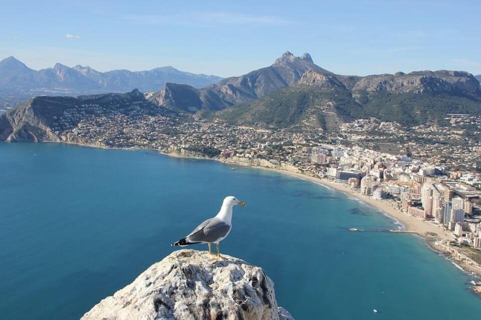 Apartamento Arenal 3 - Plusholidays Calpe Exterior foto